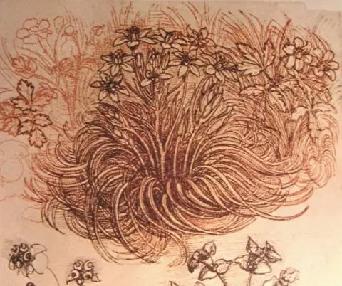 Drawing of a botanical study