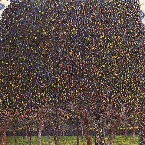 Pear Tree