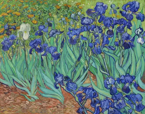 Irises Painting