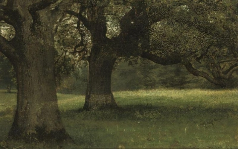 Дубы в Кидбрук-парке 1878 г.