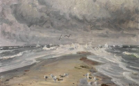 Måsar i stormigt väder på Grenen Skagen 1923