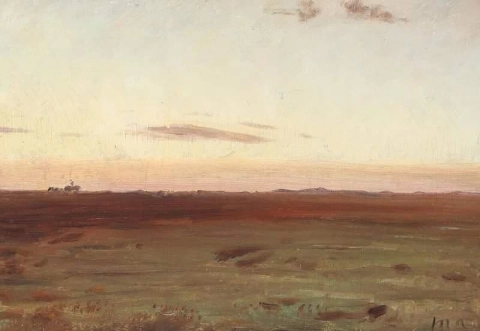 夕日の草原と砂丘の眺め