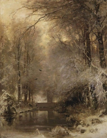 En Skog På Vintern