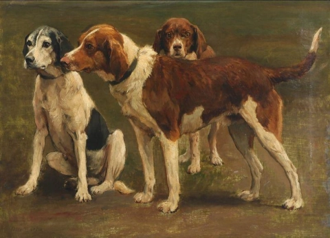 Tres perros de caza ansiosos