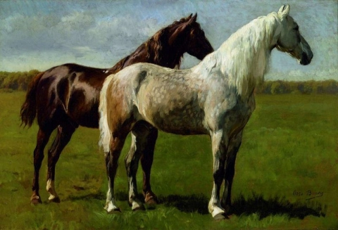 Två Hästar På Ett Fält
