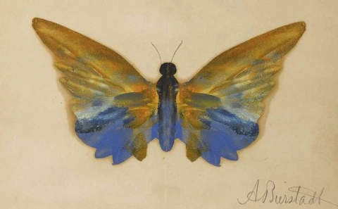 Farfalla 1890 circa