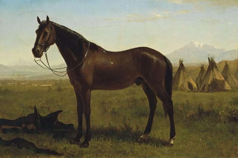 Hevonen intiaanileirillä noin 1860