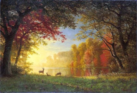 Cervi indiani al tramonto presso un lago 1880