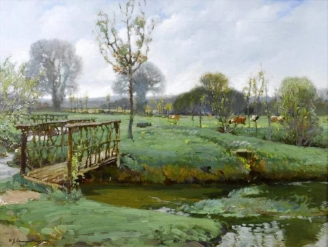 Meadow Landscape With Cows
