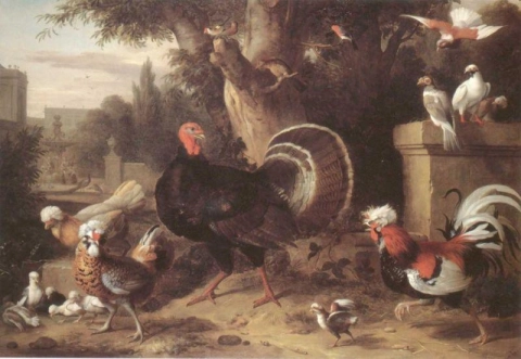 دجاج بوجداني يعقوب يعقوب ودجاج ديك رومي وطيور أخرى في حديقة إيطالية