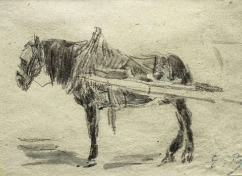 Het karpaard ca. 1885