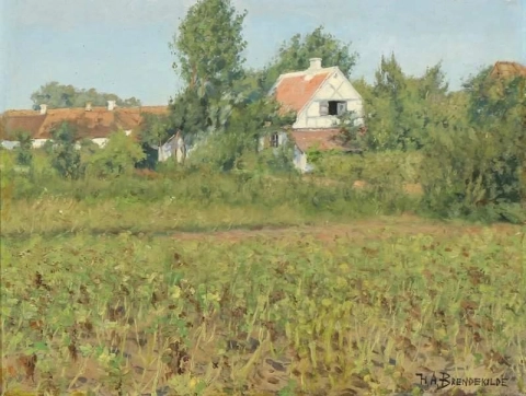 By A Farm On A Summer Day