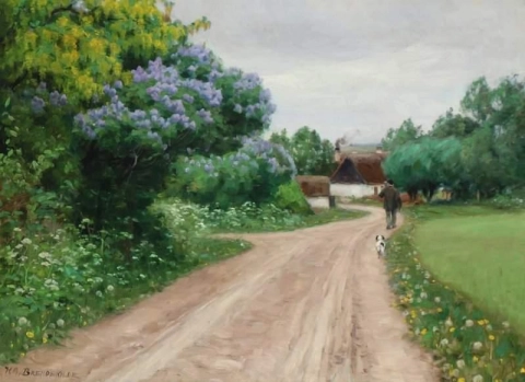 Strada di campagna con gigli in fiore