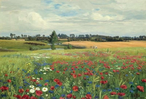 Field With Poppies And Daisies