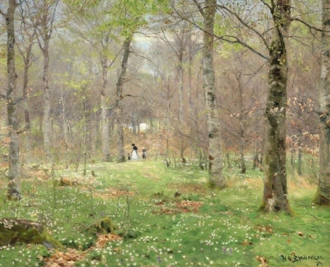 Raccogliere anemoni nella foresta di Hunderup a Funen 1894