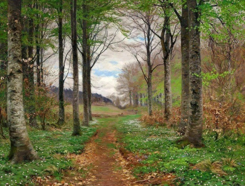 Día de primavera en el bosque con hayas y anémonas 1901