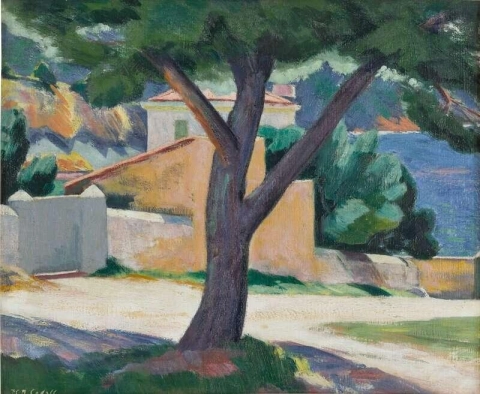 法国里维埃拉的树和房子 1923-24