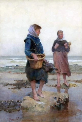 Coletores de berbigão na costa