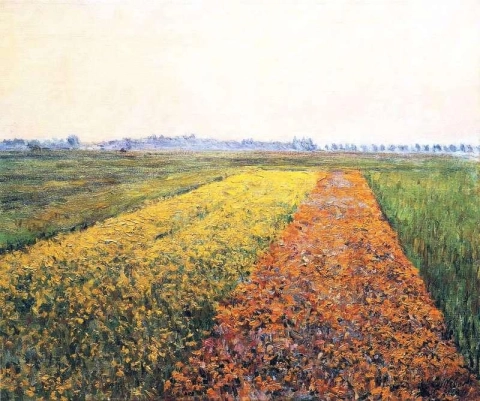 I campi gialli di Gennevilliers 1884
