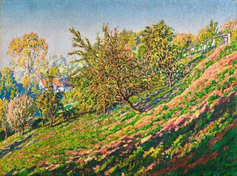 Trees On Hillside 1910