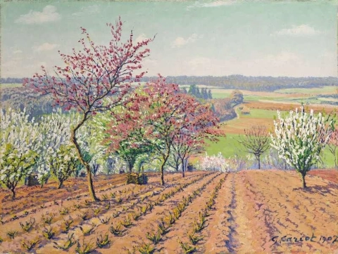 Kukkivia puita pellolla 1907