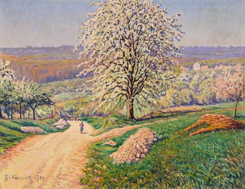 Äppelträd i blom 1929