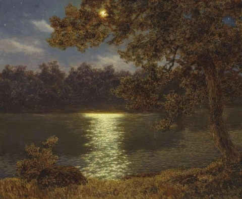 Solnedgång Vid Sjön