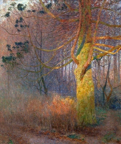 Baum in der Sonne 1900