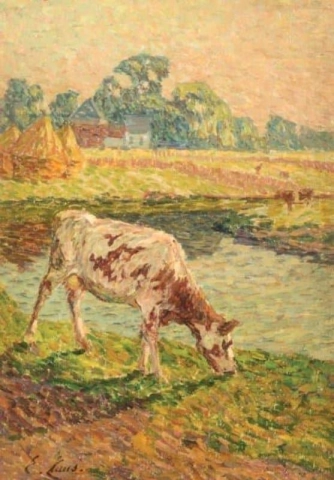 Kuh am Ufer der Lys
