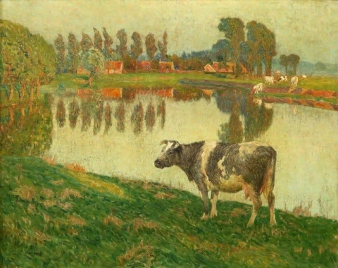 Cow Along The Lys