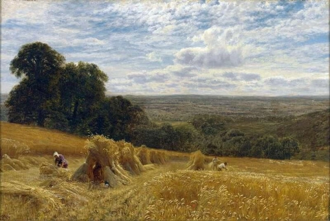 En el campo de maíz 1869