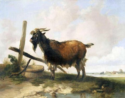 Un caprone in un paesaggio