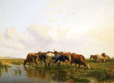 カンタベリー牧草地の牛 1866