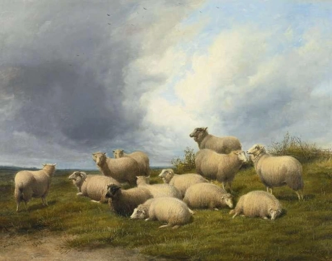 Sheep In A Pasture 1889