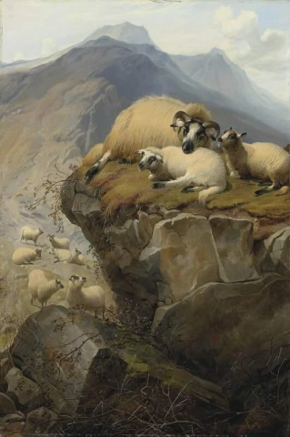 Ovejas en la isla de Skye 1877