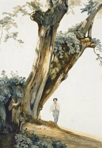 Study Of Trees With A Figure