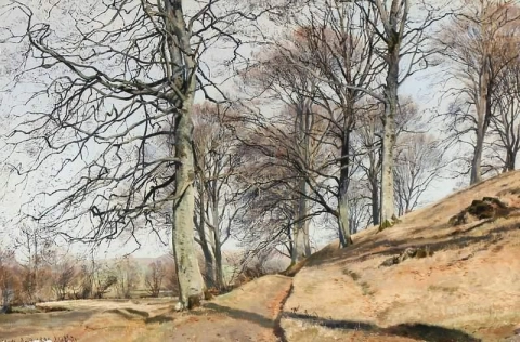 Autumn Landscape With Bare Trees