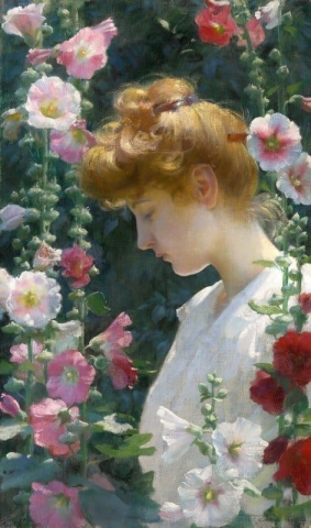 Malvas-rosa e luz solar 1902