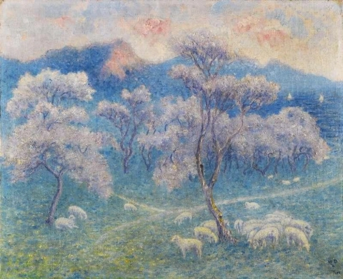 Schafe mit Mandelbäumen 1903