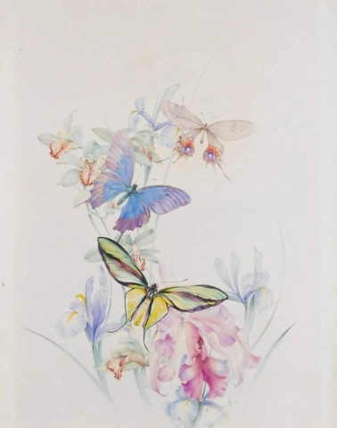 Tre store sommerfugler på iris og liljer 1931