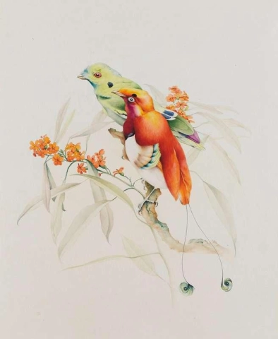 Tropical Birds On A Branch