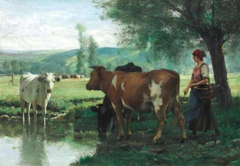O rebanho de vacas