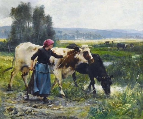 두 마리의 소를 키우는 젊은 농부 여인