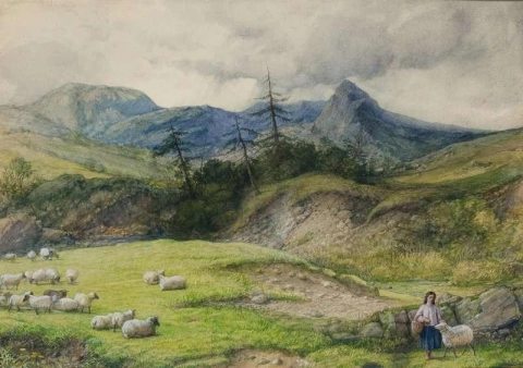 Glen Rosa Insel Arran 1859
