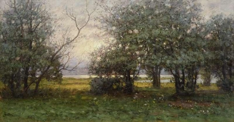 Skog I Almekarr 1896