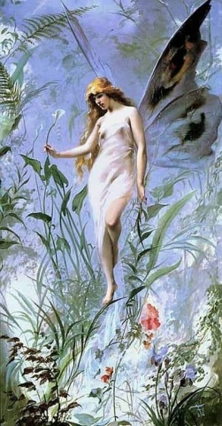 Lily Fairy 1888