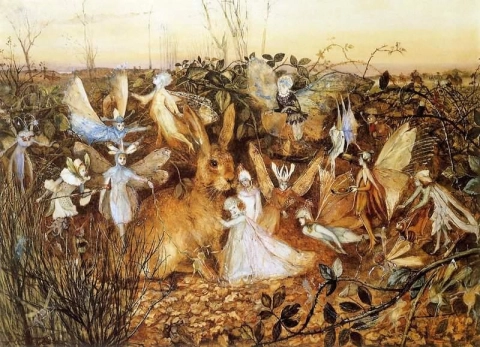 Rabbit Among The Fairies