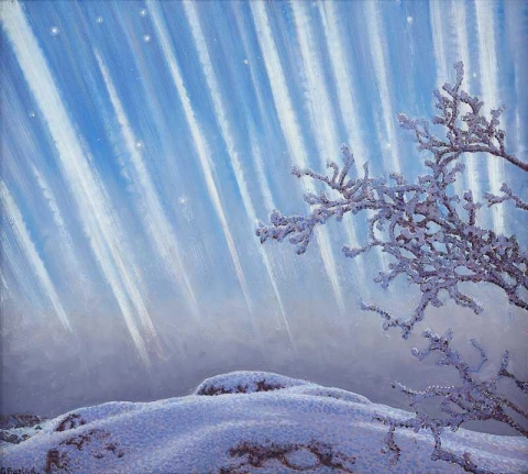 Aurora boreale sul paesaggio invernale