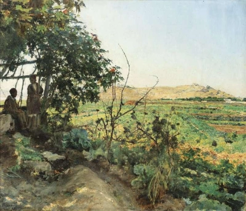 Landschaft der Vororte von Tunis 1887