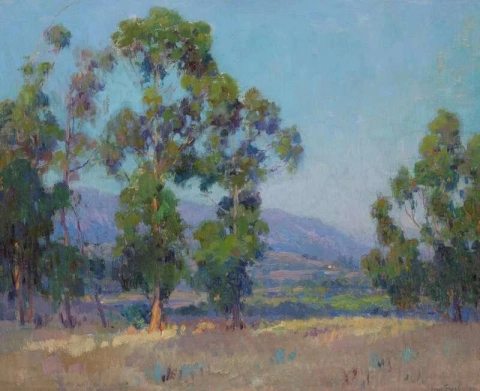 태양이 얼룩진 나무를 통해 보이는 풍경 1924